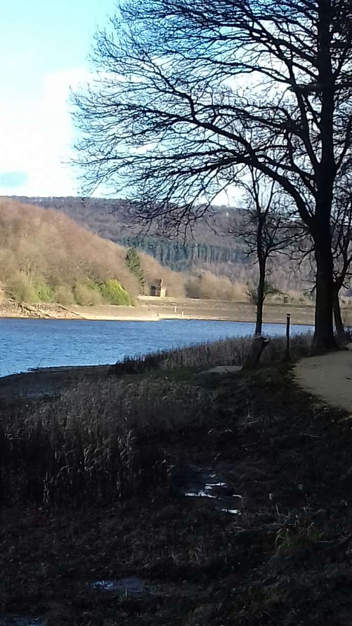 Fwd: Photo			
					</div><!-- .entry-content -->
		
		<footer>
		
		
		
					
					</footer><!-- .entry-meta -->
	</article><!-- #post -->
				
											
				
		
<hr class=