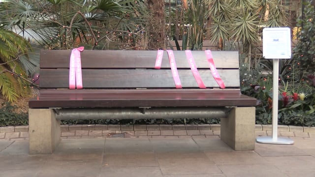 Public bench is talking point in Winter Gardens