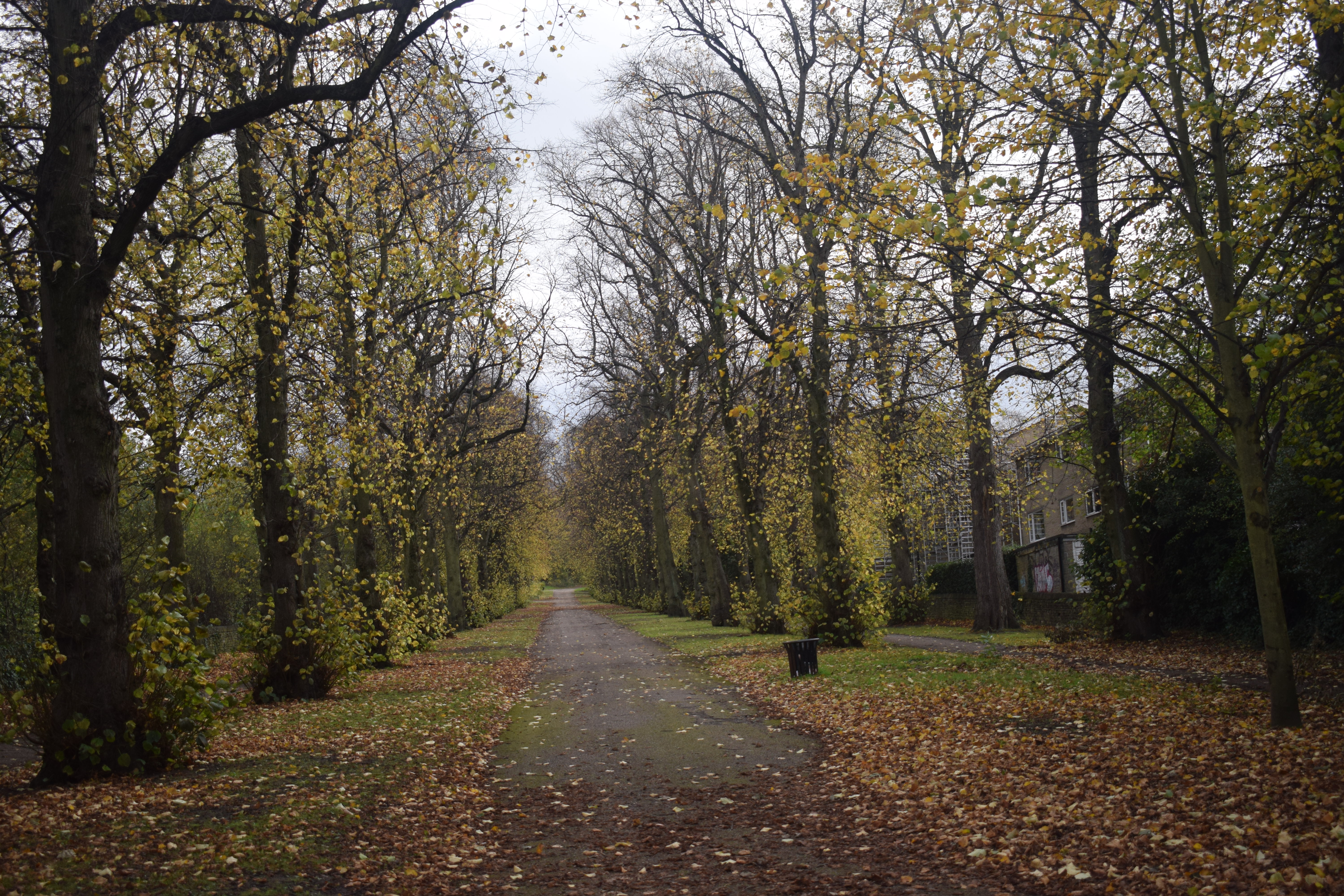 Fwd: Sheffield Live			
					</div><!-- .entry-content -->
		
		<footer>
		
		
		
					
					</footer><!-- .entry-meta -->
	</article><!-- #post -->
				
											
				
		
<hr class=