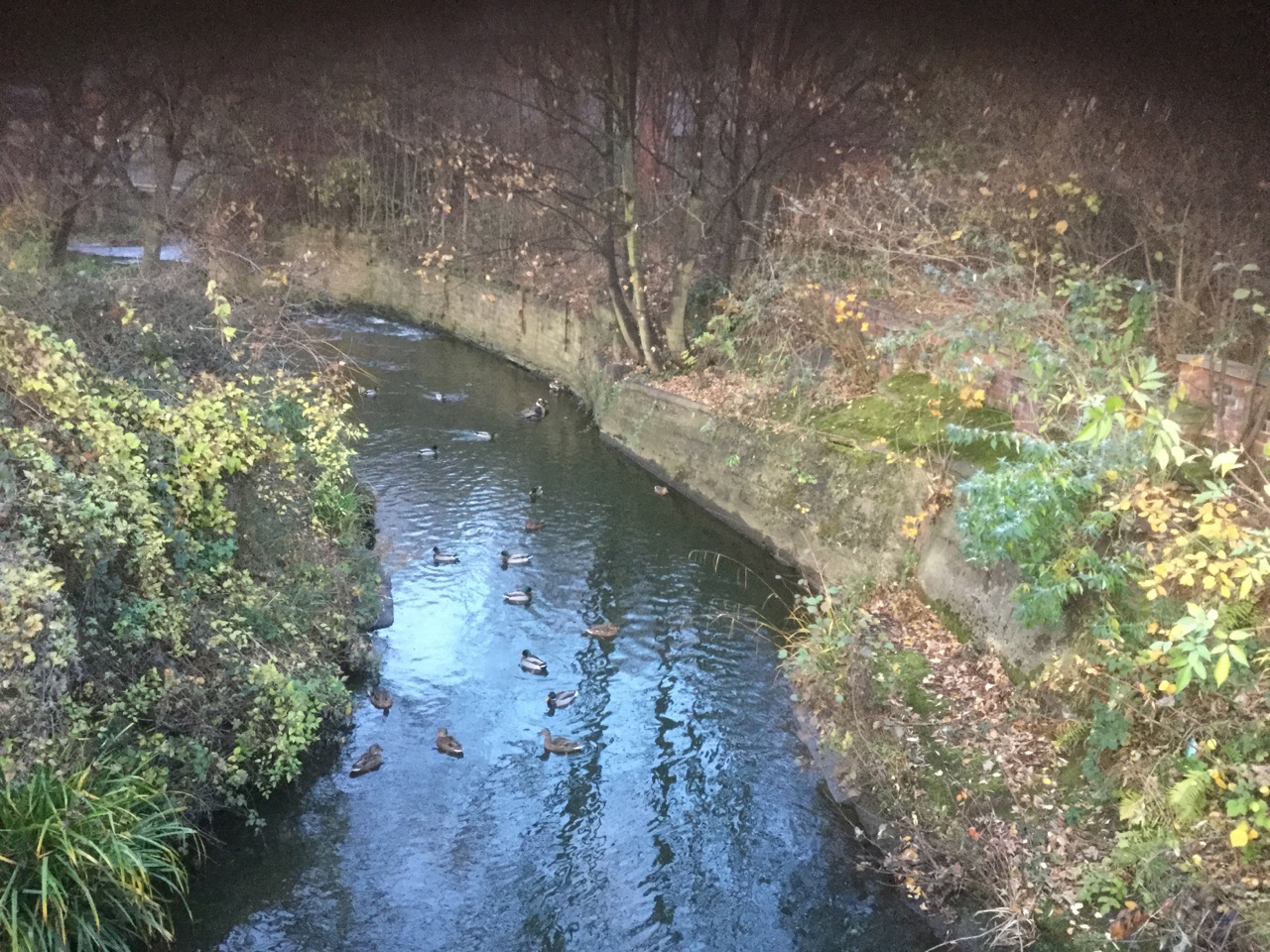 Fwd: Broadfield  Road.			
					</div><!-- .entry-content -->
		
		<footer>
		
		
		
					
					</footer><!-- .entry-meta -->
	</article><!-- #post -->
				
											
				
		
<hr class=