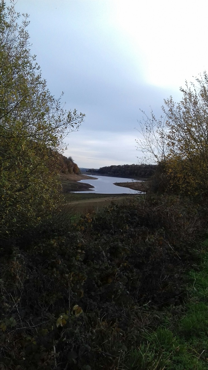 Fwd: Photo			
					</div><!-- .entry-content -->
		
		<footer>
		
		
		
					
					</footer><!-- .entry-meta -->
	</article><!-- #post -->
				
											
				
		
<hr class=