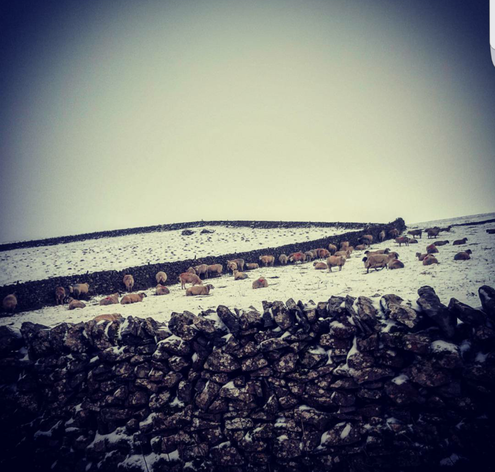 Fwd: Castleton			
					</div><!-- .entry-content -->
		
		<footer>
		
		
		
					
					</footer><!-- .entry-meta -->
	</article><!-- #post -->
				
											
				
		
<hr class=