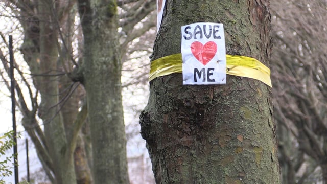 Amey threatens to remove tree campaigners by force