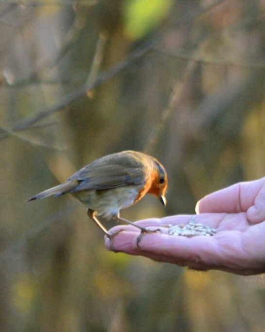 Fwd: Photo			
					</div><!-- .entry-content -->
		
		<footer>
		
		
		
					
					</footer><!-- .entry-meta -->
	</article><!-- #post -->
				
											
				
		
<hr class=