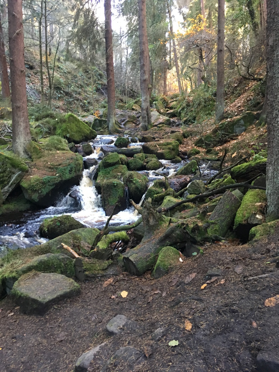 Fwd: Wyming broke,Sheffield by Jojo.			
					</div><!-- .entry-content -->
		
		<footer>
		
		
		
					
					</footer><!-- .entry-meta -->
	</article><!-- #post -->
				
											
				
		
<hr class=