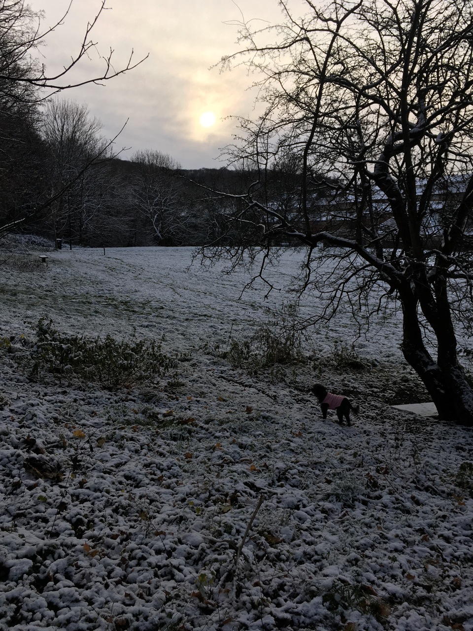 Fwd: Barbers field Sheffield by jojo.			
					</div><!-- .entry-content -->
		
		<footer>
		
		
		
					
					</footer><!-- .entry-meta -->
	</article><!-- #post -->
				
											
				
		
<hr class=