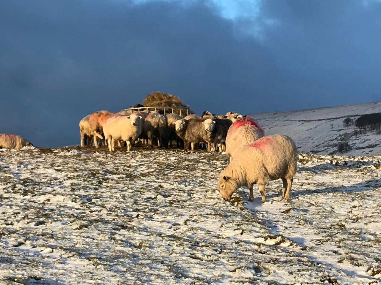 Fwd: Photo			
					</div><!-- .entry-content -->
		
		<footer>
		
		
		
					
					</footer><!-- .entry-meta -->
	</article><!-- #post -->
				
											
				
		
<hr class=