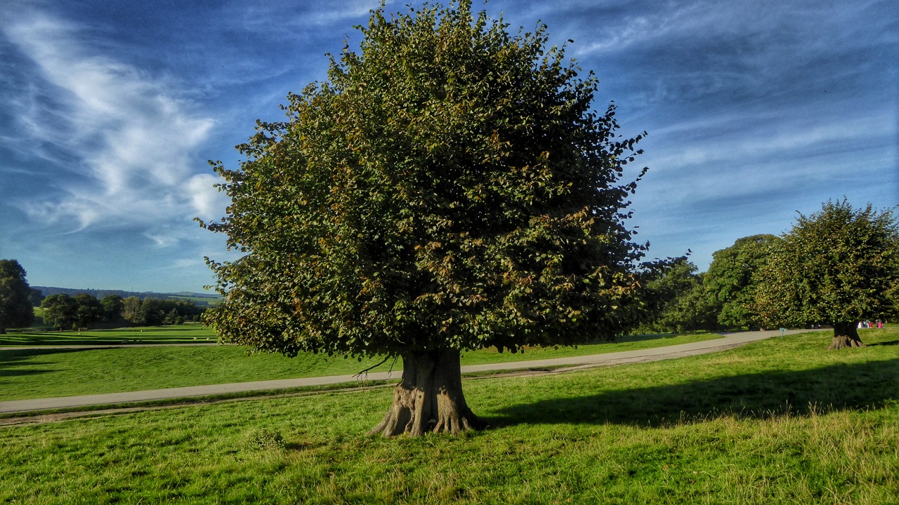 Fwd: Viewers pic			
					</div><!-- .entry-content -->
		
		<footer>
		
		
		
					
					</footer><!-- .entry-meta -->
	</article><!-- #post -->
				
											
				
		
<hr class=