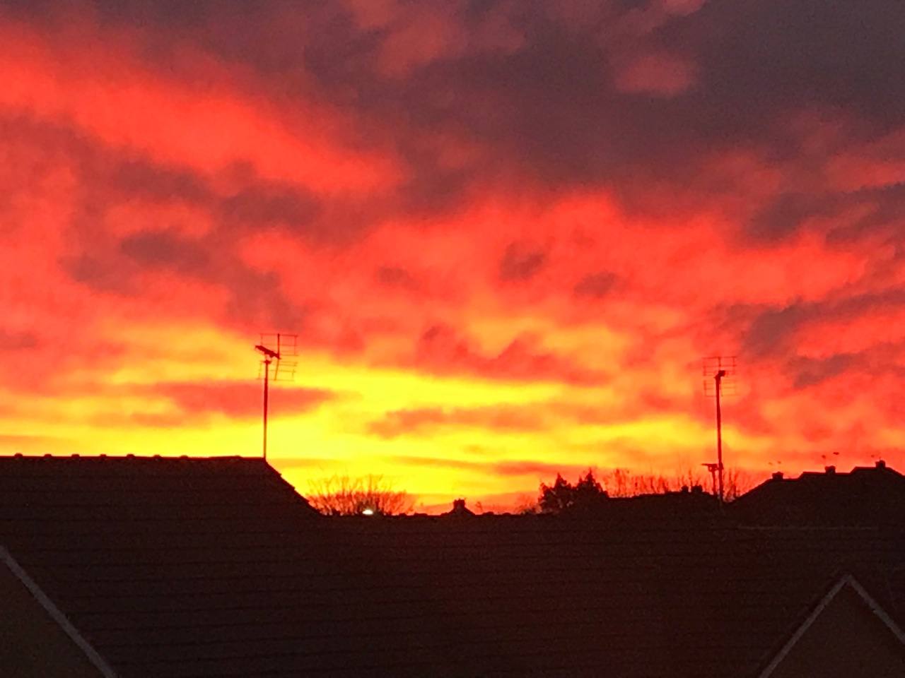 Fwd: Photo			
					</div><!-- .entry-content -->
		
		<footer>
		
		
		
					
					</footer><!-- .entry-meta -->
	</article><!-- #post -->
				
											
				
		
<hr class=