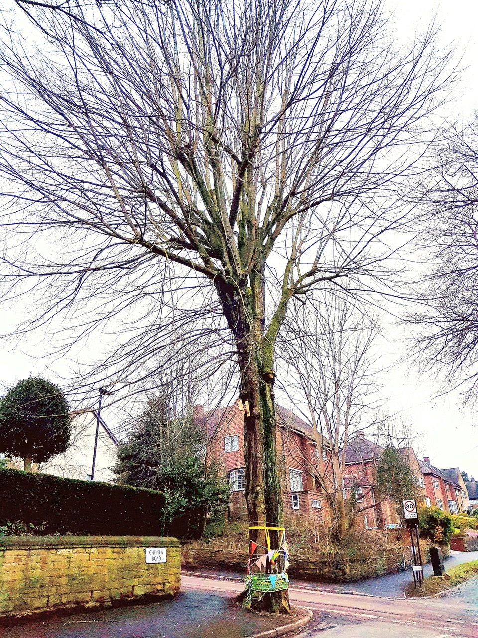 Fwd: Tree At Chelsea Rd			
					</div><!-- .entry-content -->
		
		<footer>
		
		
		
					
					</footer><!-- .entry-meta -->
	</article><!-- #post -->
				
											
				
		
<hr class=