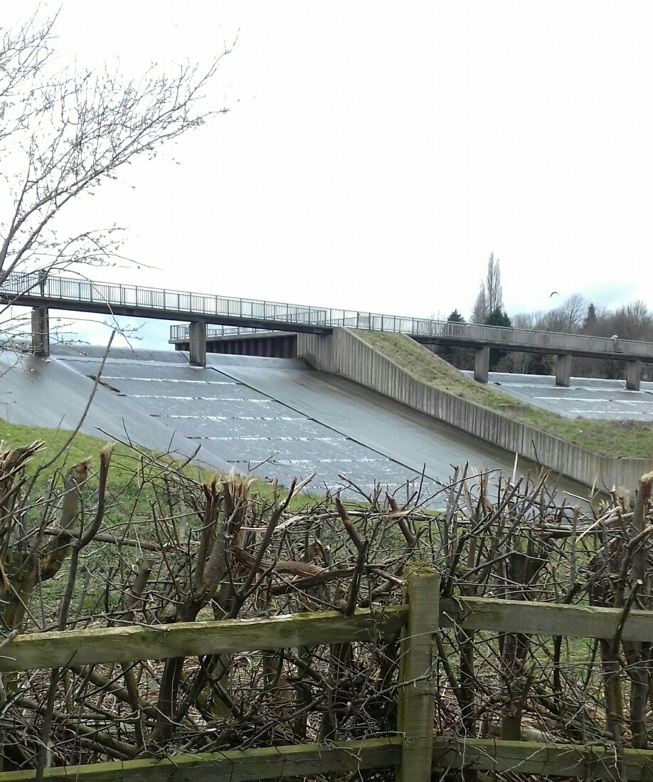 Fwd: Photo			
					</div><!-- .entry-content -->
		
		<footer>
		
		
		
					
					</footer><!-- .entry-meta -->
	</article><!-- #post -->
				
											
				
		
<hr class=