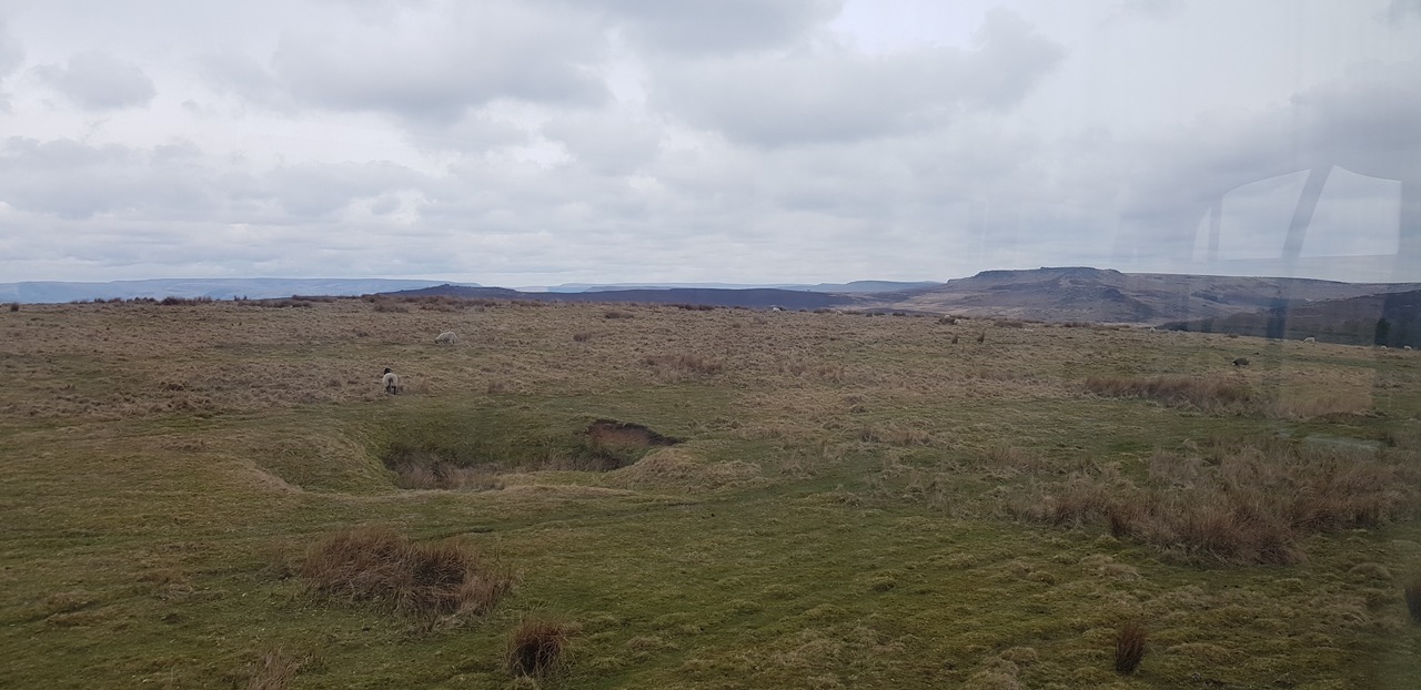 Fwd: owler bar road			
					</div><!-- .entry-content -->
		
		<footer>
		
		
		
					
					</footer><!-- .entry-meta -->
	</article><!-- #post -->
				
											
				
		
<hr class=