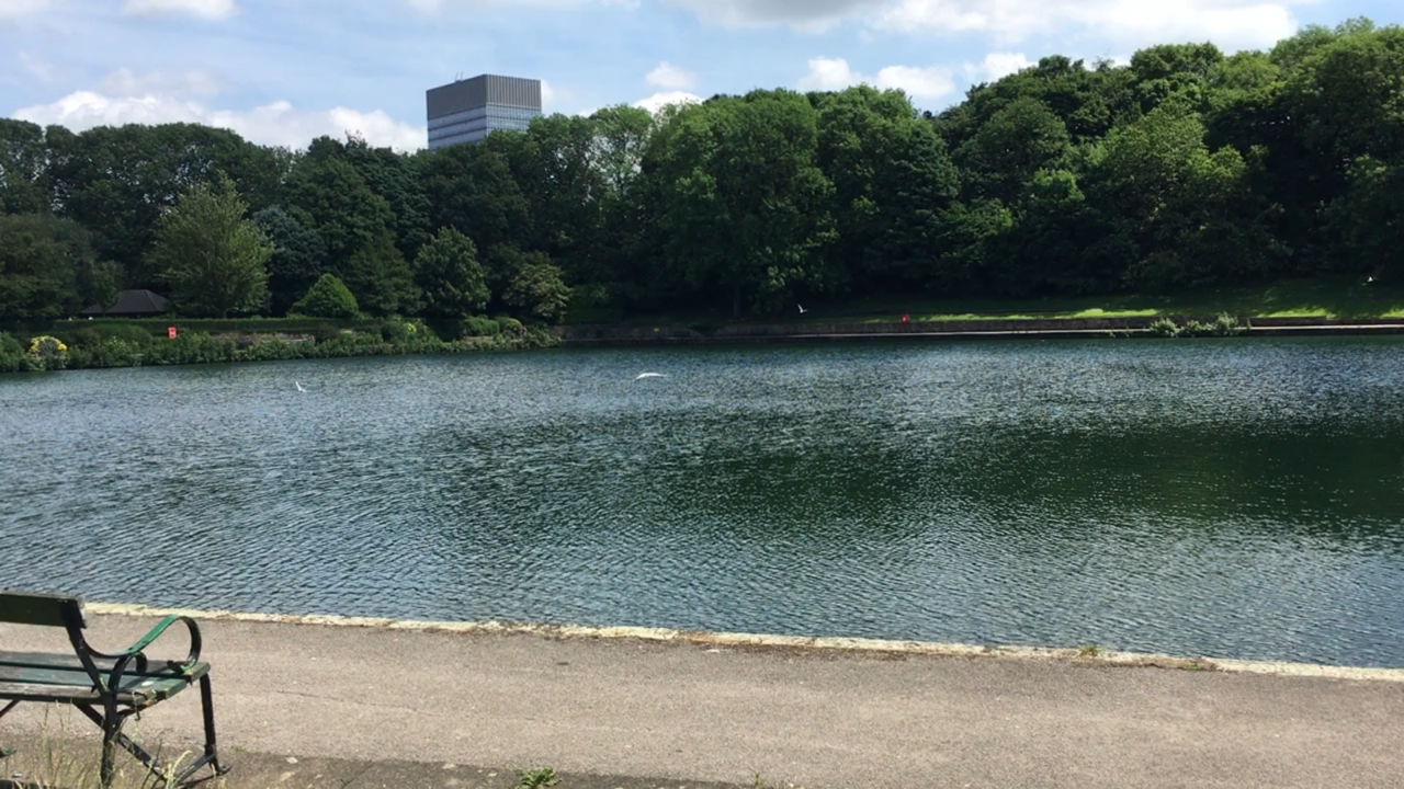 Fwd: Crookes Valley Park			
					</div><!-- .entry-content -->
		
		<footer>
		
		
		
					
					</footer><!-- .entry-meta -->
	</article><!-- #post -->
				
											
				
		
<hr class=