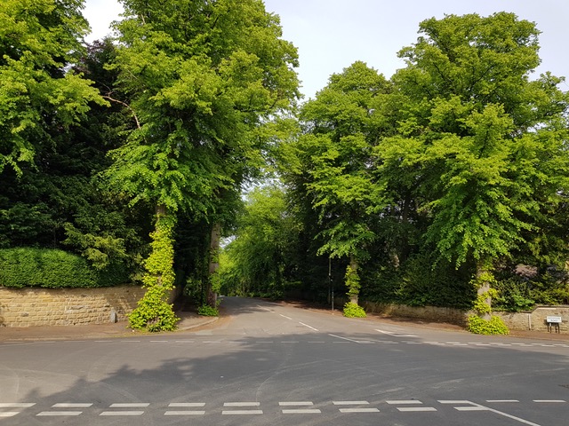 Fwd: St.Andrews Rd S11			
					</div><!-- .entry-content -->
		
		<footer>
		
		
		
					
					</footer><!-- .entry-meta -->
	</article><!-- #post -->
				
											
				
		
<hr class=