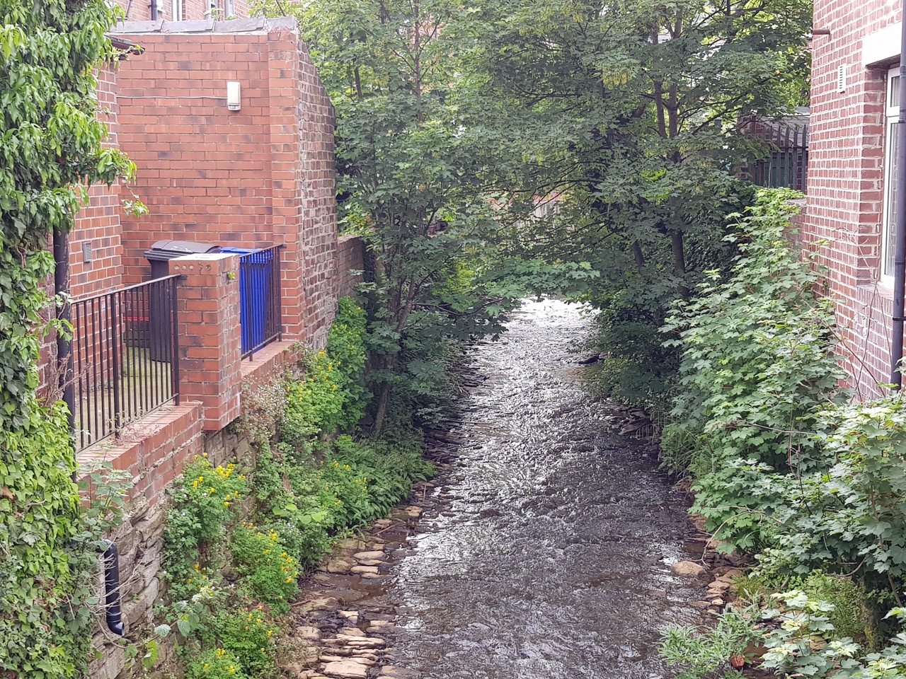 Fwd: Porter Brook			
					</div><!-- .entry-content -->
		
		<footer>
		
		
		
					
					</footer><!-- .entry-meta -->
	</article><!-- #post -->
				
											
				
		
<hr class=