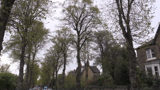 Sheffield Council warning to tree campaigners