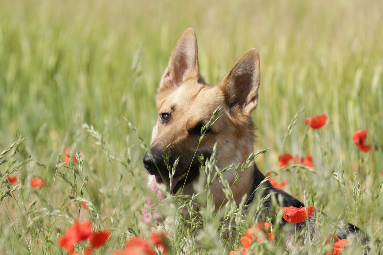 Fwd: photo			
					</div><!-- .entry-content -->
		
		<footer>
		
		
		
					
					</footer><!-- .entry-meta -->
	</article><!-- #post -->
				
											
				
		
<hr class=