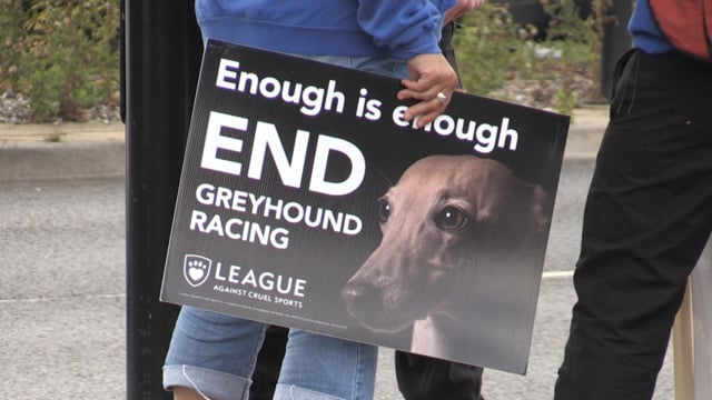Animal rights protest against greyhound racing