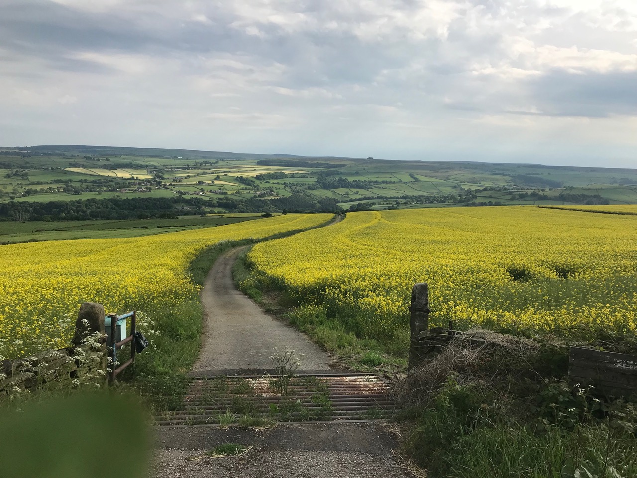 Fwd: Bradfield			
					</div><!-- .entry-content -->
		
		<footer>
		
		
		
					
					</footer><!-- .entry-meta -->
	</article><!-- #post -->
				
											
				
		
<hr class=