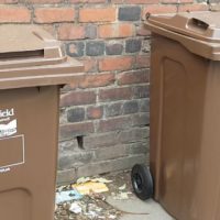 Brown bin collection begins in Sheffield