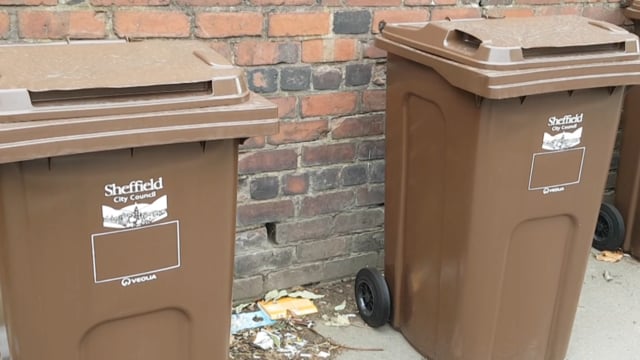 Brown bin collection begins in Sheffield