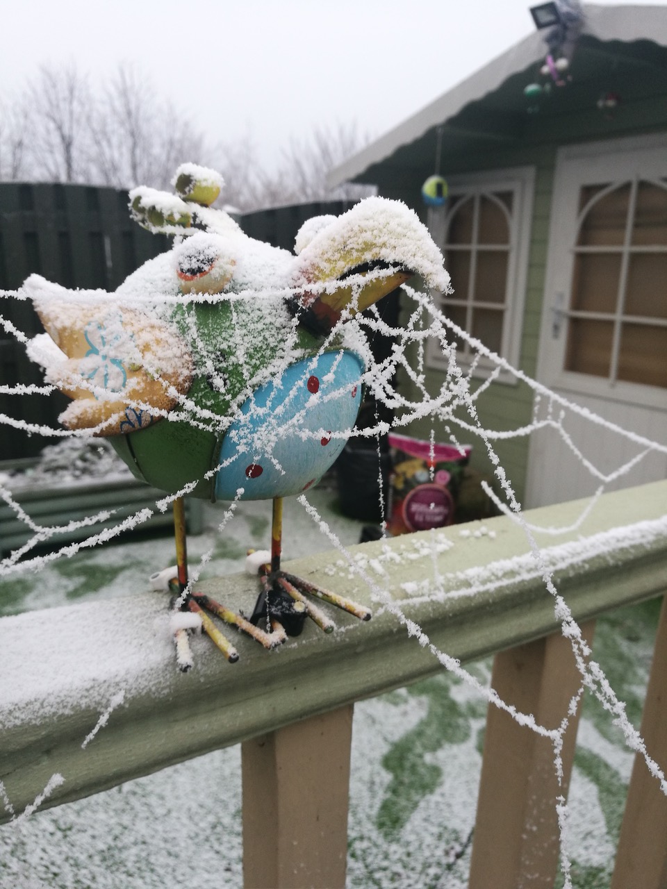 Fwd: Frosty Garden			
					</div><!-- .entry-content -->
		
		<footer>
		
		
		
					
					</footer><!-- .entry-meta -->
	</article><!-- #post -->
				
											
				
		
<hr class=