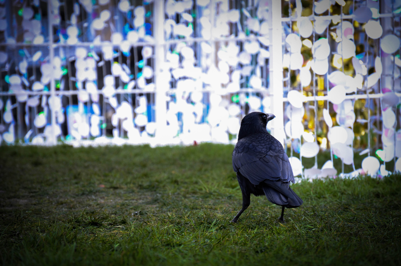 Fwd: Sheffield photography			
					</div><!-- .entry-content -->
		
		<footer>
		
		
		
					
					</footer><!-- .entry-meta -->
	</article><!-- #post -->
				
											
				
		
<hr class=