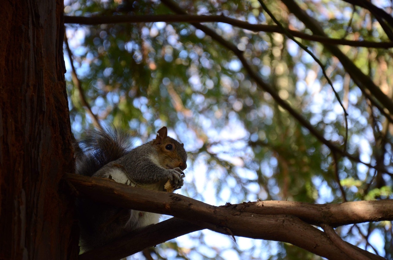 Fwd: Sheffield photography			
					</div><!-- .entry-content -->
		
		<footer>
		
		
		
					
					</footer><!-- .entry-meta -->
	</article><!-- #post -->
				
											
				
		
<hr class=