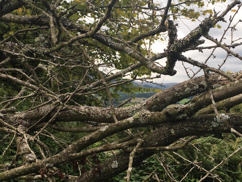 Fwd: Woolly wood			
					</div><!-- .entry-content -->
		
		<footer>
		
		
		
					
					</footer><!-- .entry-meta -->
	</article><!-- #post -->
				
											
				
		
<hr class=