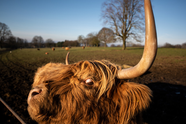 Fwd: Photo for use			
					</div><!-- .entry-content -->
		
		<footer>
		
		
		
					
					</footer><!-- .entry-meta -->
	</article><!-- #post -->
				
											
				
		
<hr class=