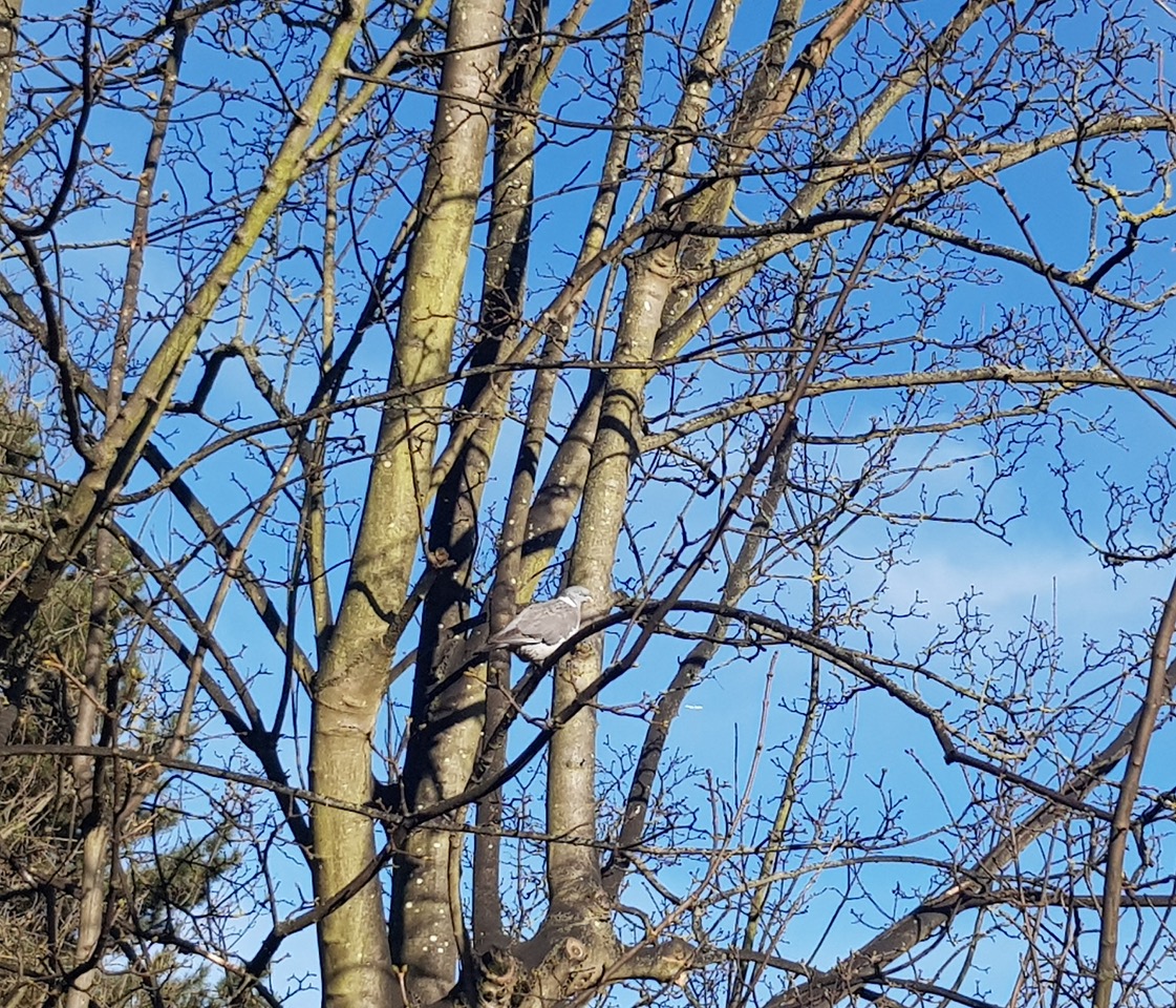 Fwd:			
					</div><!-- .entry-content -->
		
		<footer>
		
		
		
					
					</footer><!-- .entry-meta -->
	</article><!-- #post -->
				
											
				
		
<hr class=