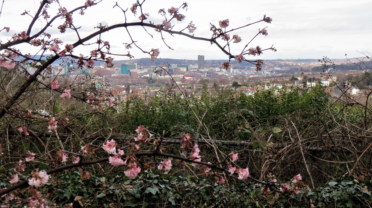 Fwd: Meersbrook Park			
					</div><!-- .entry-content -->
		
		<footer>
		
		
		
					
					</footer><!-- .entry-meta -->
	</article><!-- #post -->
				
											
				
		
<hr class=