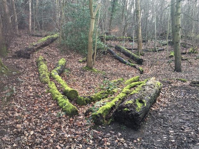 Fwd:			
					</div><!-- .entry-content -->
		
		<footer>
		
		
		
					
					</footer><!-- .entry-meta -->
	</article><!-- #post -->
				
											
				
		
<hr class=