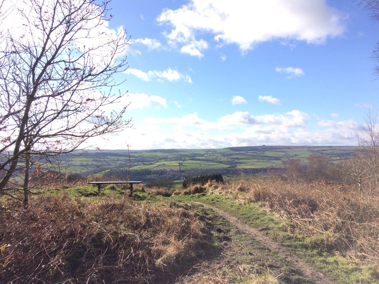 Fwd: Loxley Common			
					</div><!-- .entry-content -->
		
		<footer>
		
		
		
					
					</footer><!-- .entry-meta -->
	</article><!-- #post -->
				
											
				
		
<hr class=