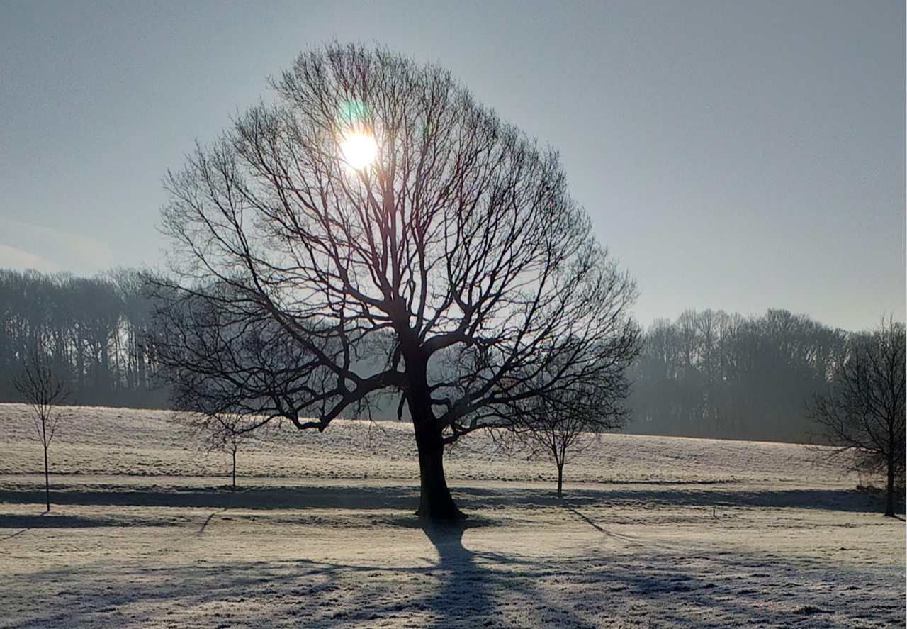 Fwd: Greaves park by Fiona H 2			
					</div><!-- .entry-content -->
		
		<footer>
		
		
		
					
					</footer><!-- .entry-meta -->
	</article><!-- #post -->
				
											
				
		
<hr class=