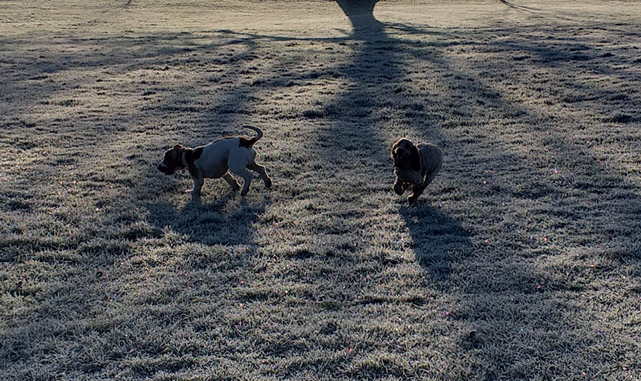 Fwd: Greaves park by Fiona H 1			
					</div><!-- .entry-content -->
		
		<footer>
		
		
		
					
					</footer><!-- .entry-meta -->
	</article><!-- #post -->
				
											
				
		
<hr class=