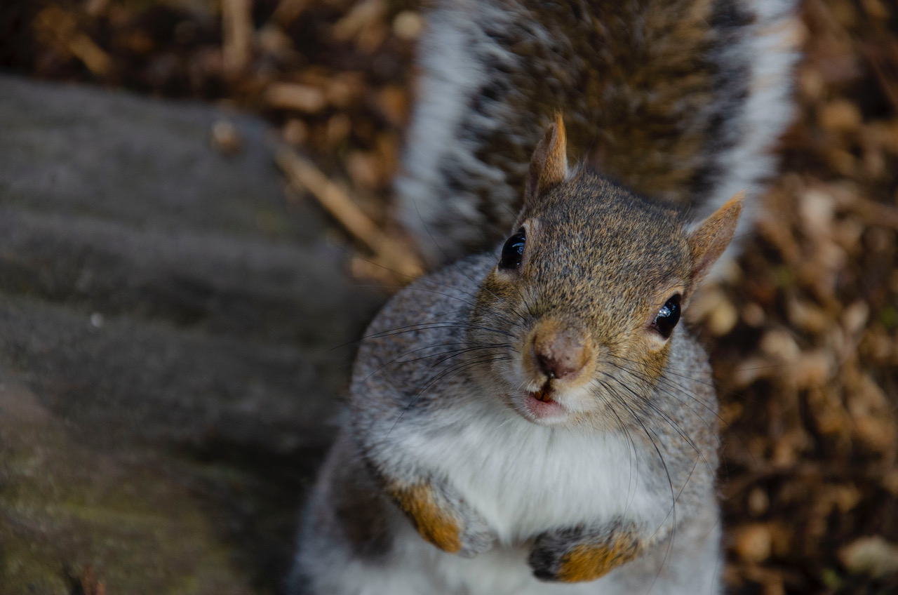 Fwd: Photographs			
					</div><!-- .entry-content -->
		
		<footer>
		
		
		
					
					</footer><!-- .entry-meta -->
	</article><!-- #post -->
				
											
				
		
<hr class=