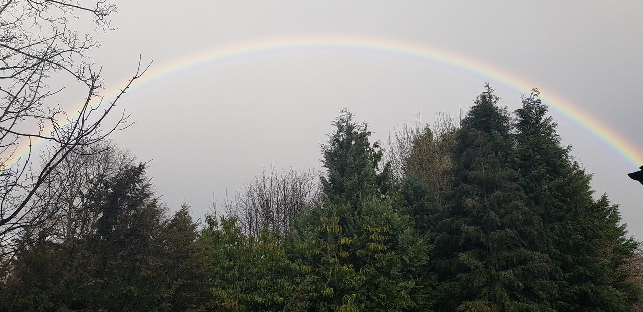 Fwd: Rainbow over Nether Edge			
					</div><!-- .entry-content -->
		
		<footer>
		
		
		
					
					</footer><!-- .entry-meta -->
	</article><!-- #post -->
				
											
				
		
<hr class=