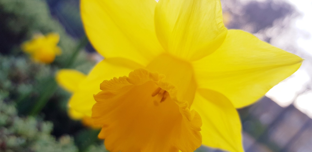 Fwd:			
					</div><!-- .entry-content -->
		
		<footer>
		
		
		
					
					</footer><!-- .entry-meta -->
	</article><!-- #post -->
				
											
				
		
<hr class=