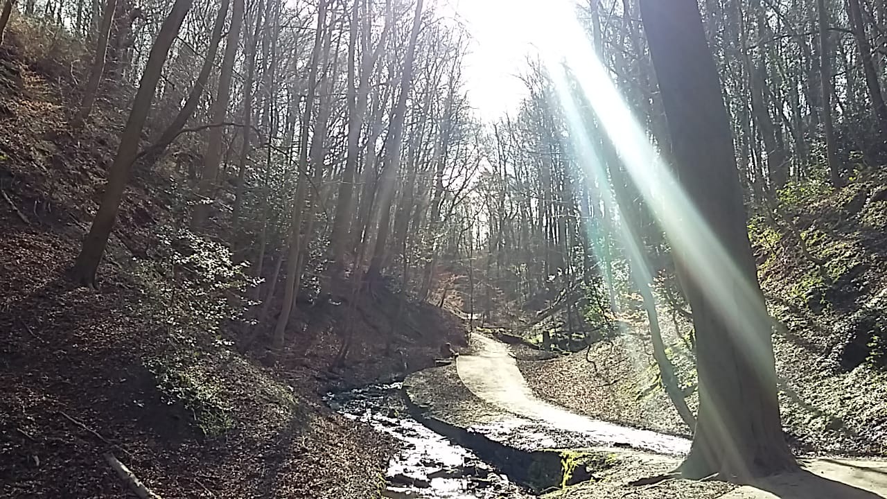 Fwd: Photo of Graves park			
					</div><!-- .entry-content -->
		
		<footer>
		
		
		
					
					</footer><!-- .entry-meta -->
	</article><!-- #post -->
				
											
				
		
<hr class=