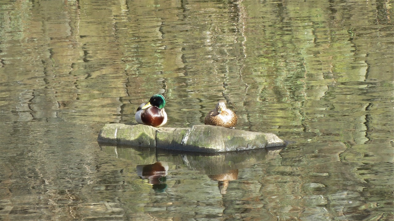 Fwd: River Don			
					</div><!-- .entry-content -->
		
		<footer>
		
		
		
					
					</footer><!-- .entry-meta -->
	</article><!-- #post -->
				
											
				
		
<hr class=