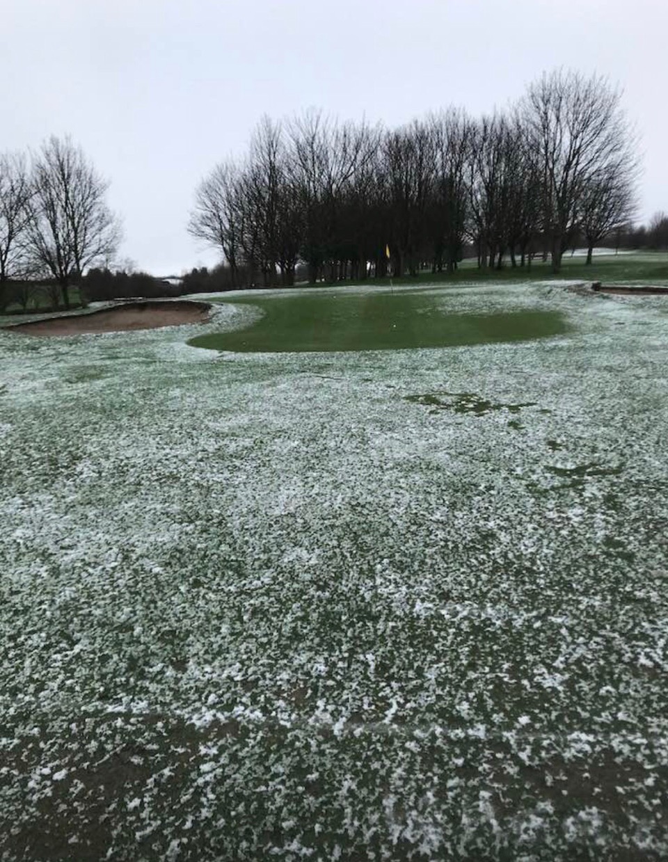 Fwd: Photo of Birley Wood Golf Club			
					</div><!-- .entry-content -->
		
		<footer>
		
		
		
					
					</footer><!-- .entry-meta -->
	</article><!-- #post -->
				
											
				
		
<hr class=