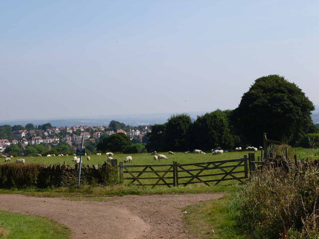 Fwd: Over Bents Green from Castle Dyke			
					</div><!-- .entry-content -->
		
		<footer>
		
		
		
					
					</footer><!-- .entry-meta -->
	</article><!-- #post -->
				
											
				
		
<hr class=