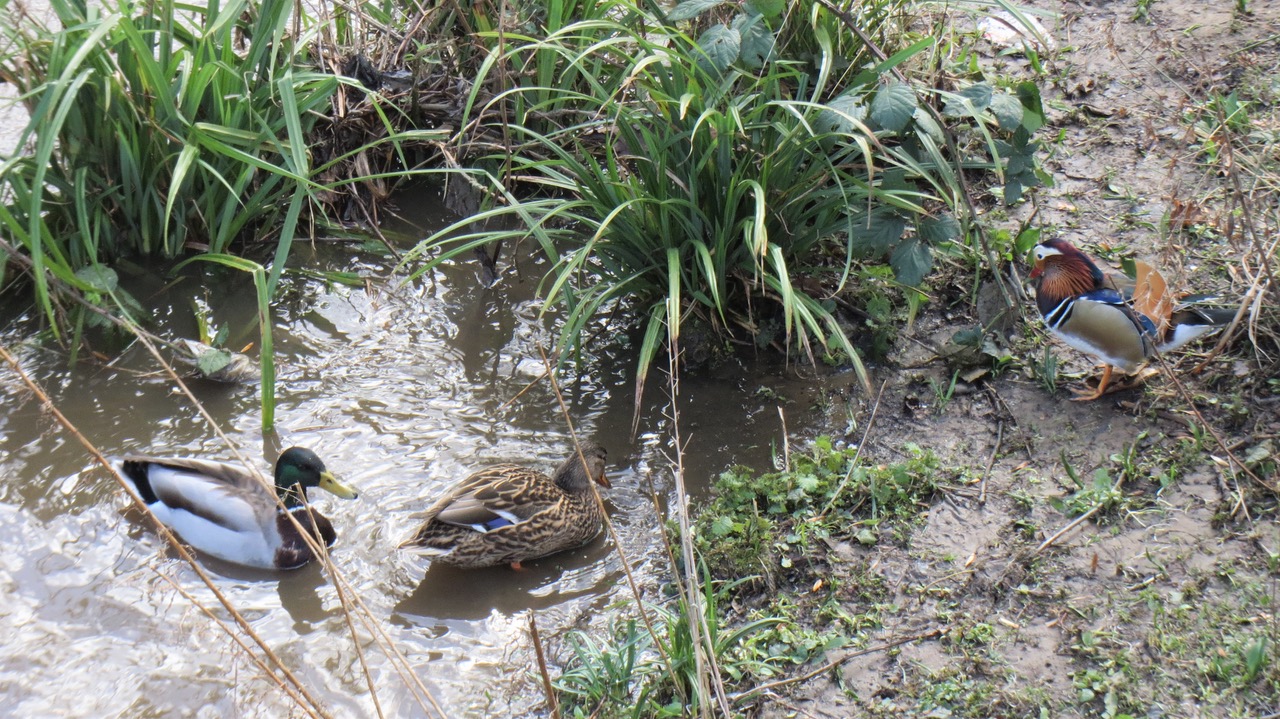 Fwd: River Sheaf			
					</div><!-- .entry-content -->
		
		<footer>
		
		
		
					
					</footer><!-- .entry-meta -->
	</article><!-- #post -->
				
											
				
		
<hr class=