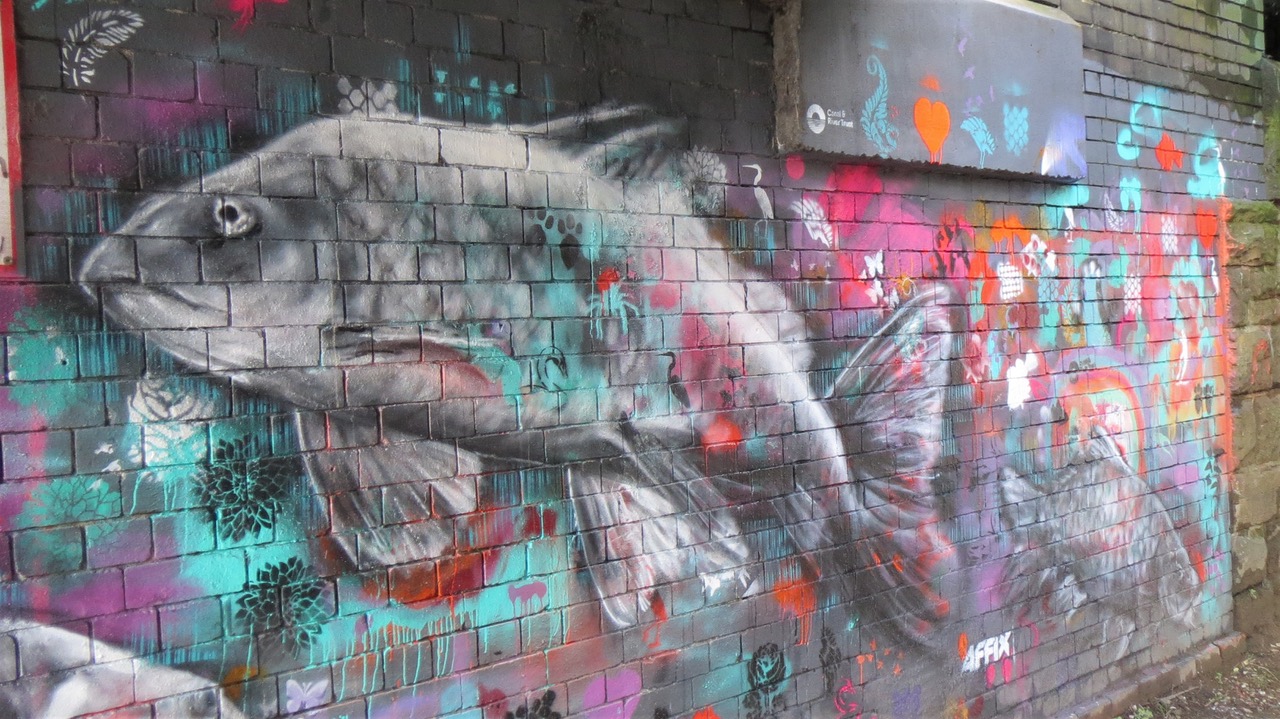 Fwd: Canal Towpath			
					</div><!-- .entry-content -->
		
		<footer>
		
		
		
					
					</footer><!-- .entry-meta -->
	</article><!-- #post -->
				
											
				
		
<hr class=