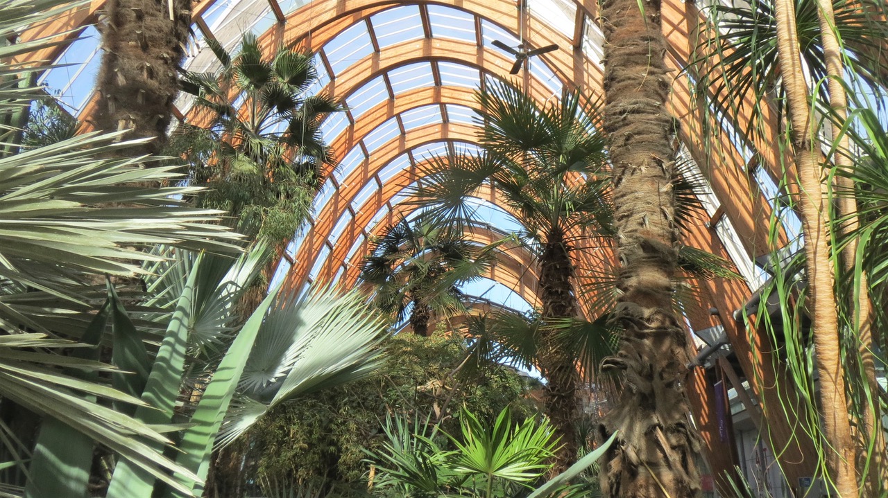 Fwd: Winter Gardens			
					</div><!-- .entry-content -->
		
		<footer>
		
		
		
					
					</footer><!-- .entry-meta -->
	</article><!-- #post -->
				
											
				
		
<hr class=