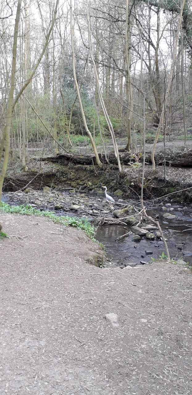 Fwd: Porter Valley			
					</div><!-- .entry-content -->
		
		<footer>
		
		
		
					
					</footer><!-- .entry-meta -->
	</article><!-- #post -->
				
											
				
		
<hr class=