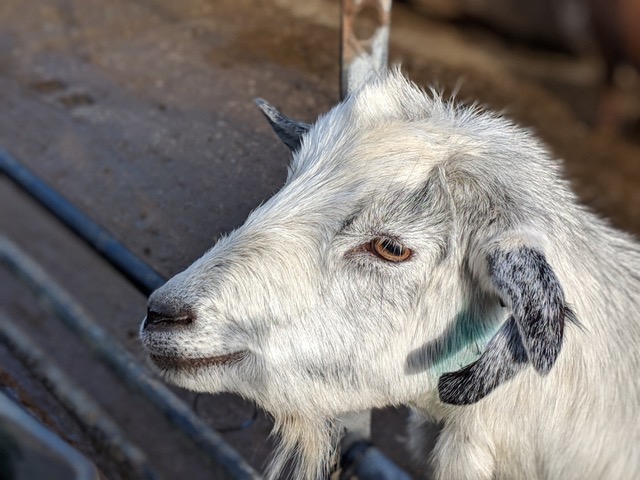 Fwd: Photo for use on SLTV and your website			
					</div><!-- .entry-content -->
		
		<footer>
		
		
		
					
					</footer><!-- .entry-meta -->
	</article><!-- #post -->
				
											
				
		
<hr class=