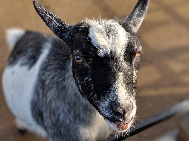 Fwd: Photograph for use on SLTV and on your website			
					</div><!-- .entry-content -->
		
		<footer>
		
		
		
					
					</footer><!-- .entry-meta -->
	</article><!-- #post -->
				
											
				
		
<hr class=