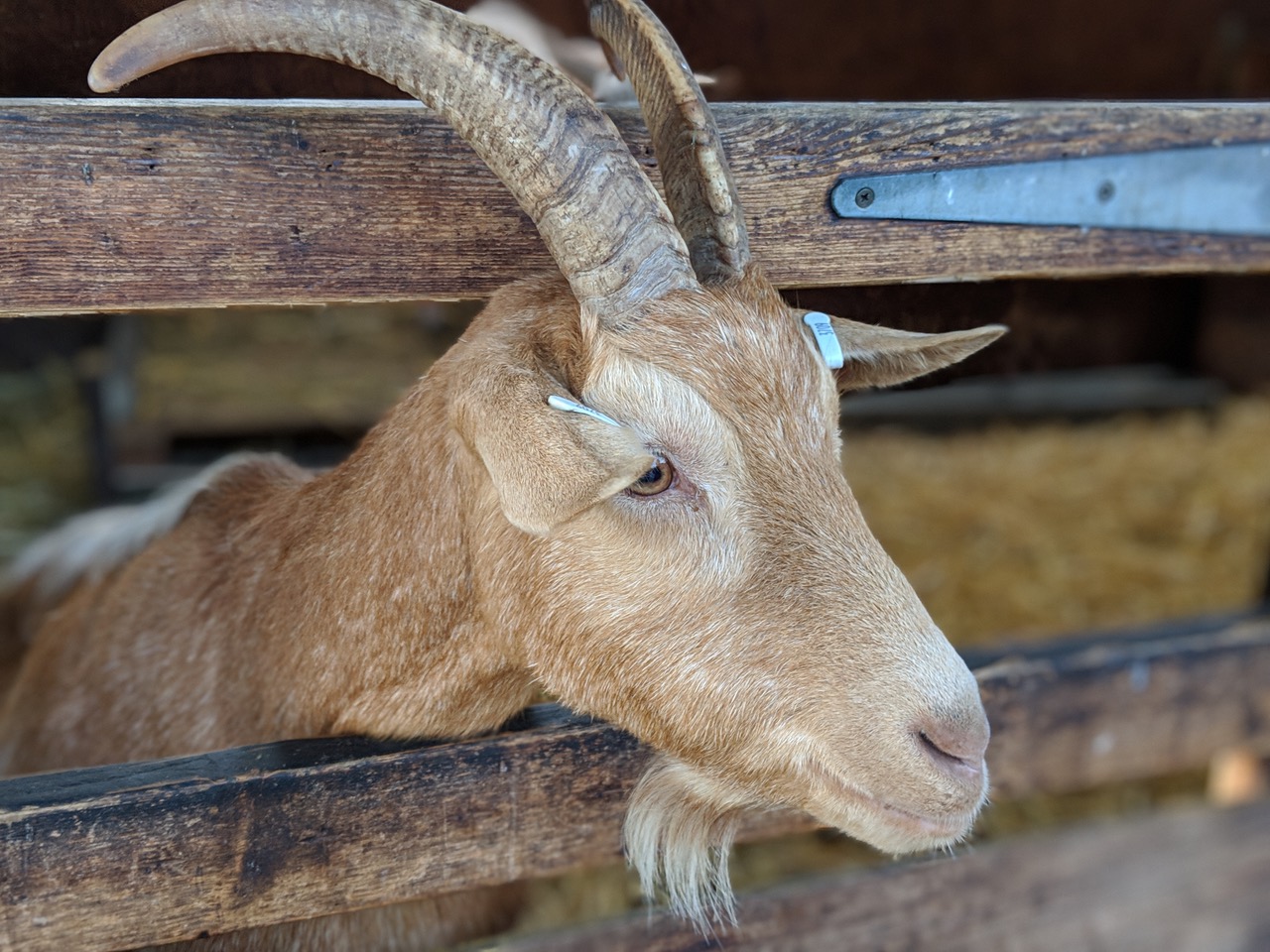 Fwd: Photo of Graves Park Animal Farm			
					</div><!-- .entry-content -->
		
		<footer>
		
		
		
					
					</footer><!-- .entry-meta -->
	</article><!-- #post -->
				
											
				
		
<hr class=